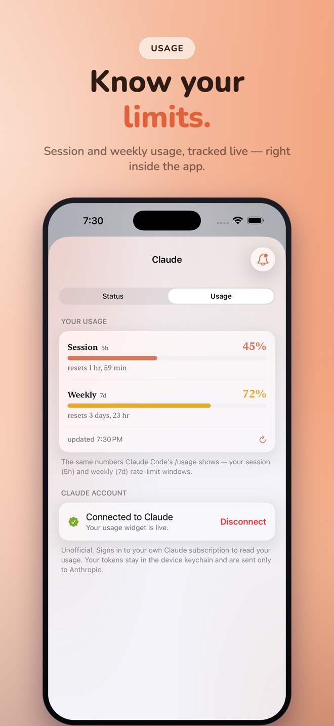 App Store panel — Usage: know your limits